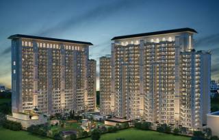 Project Image Project Image