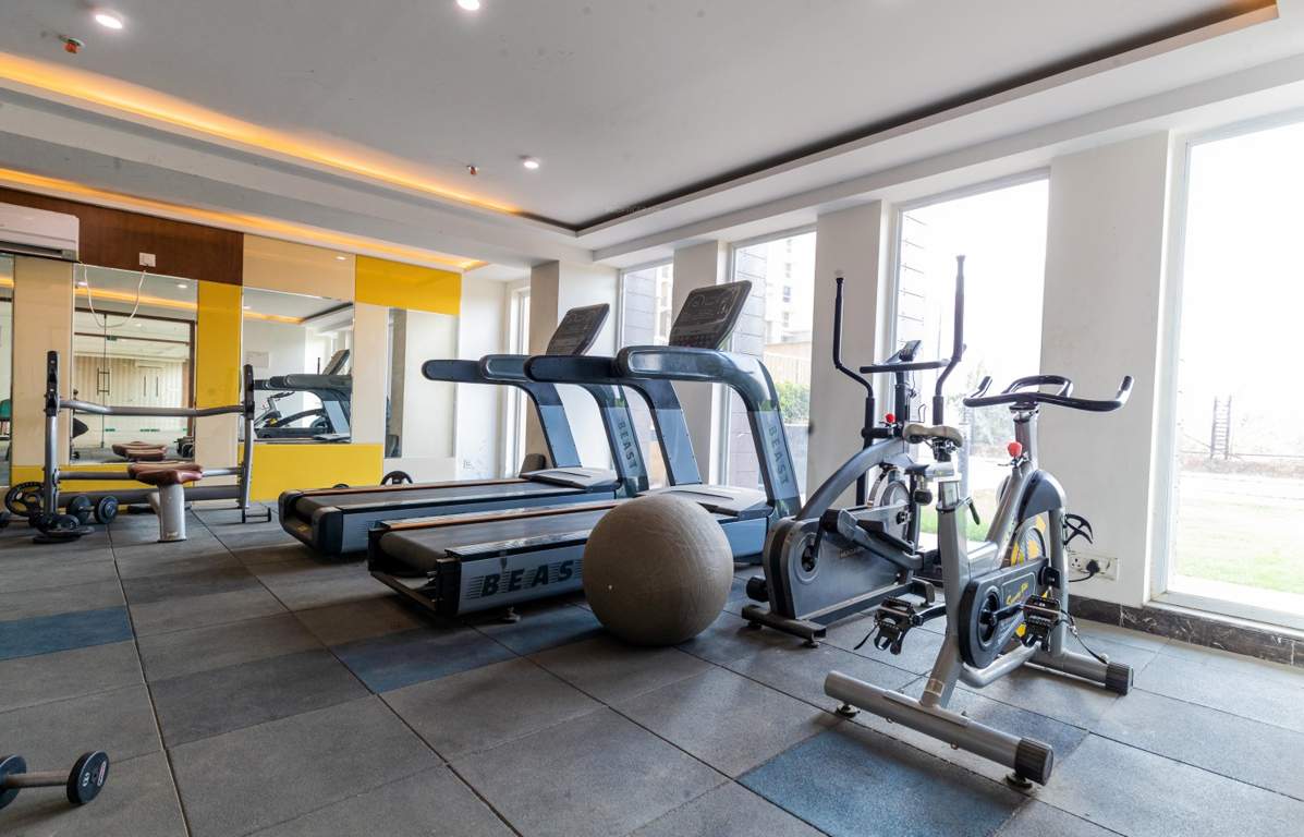  city apartment ghaziabad Gymnasium