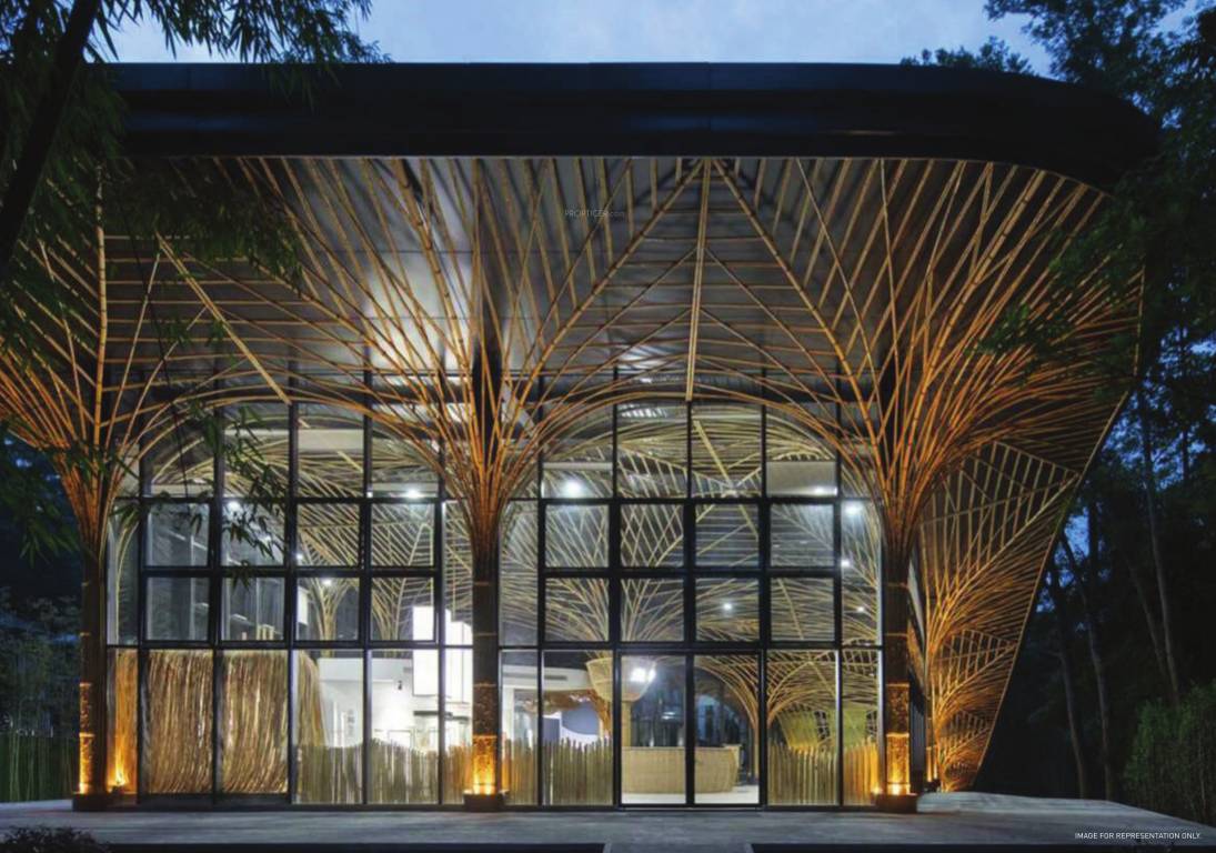  twin tower dxp Others