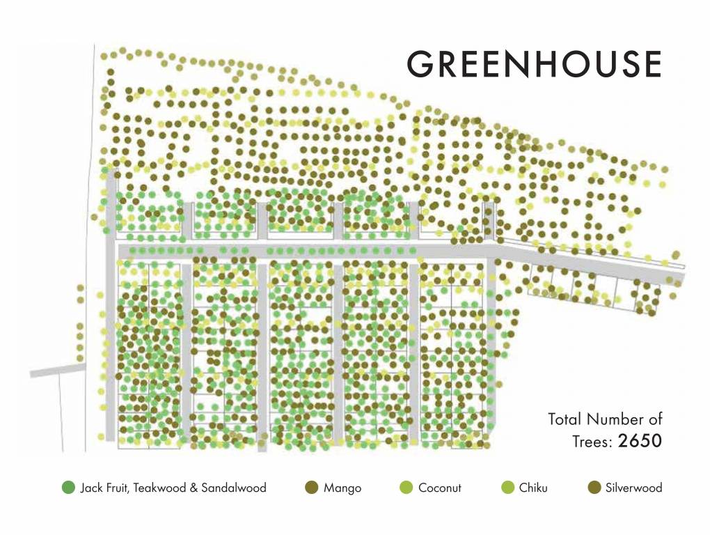  under the sun phase 1 Layout Plan