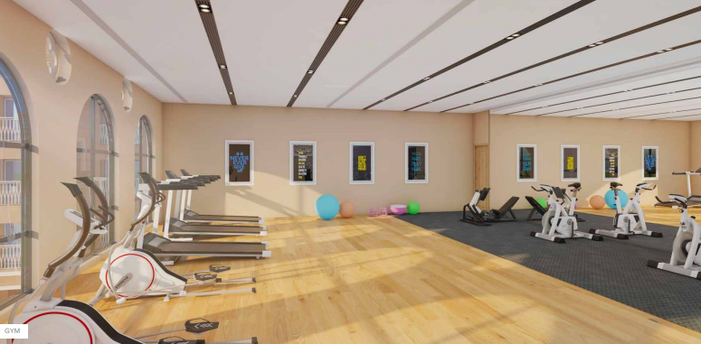 Gymnasium nextown Gymnasium