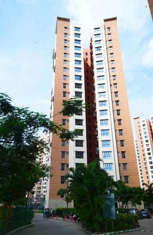  happyville  Elevation