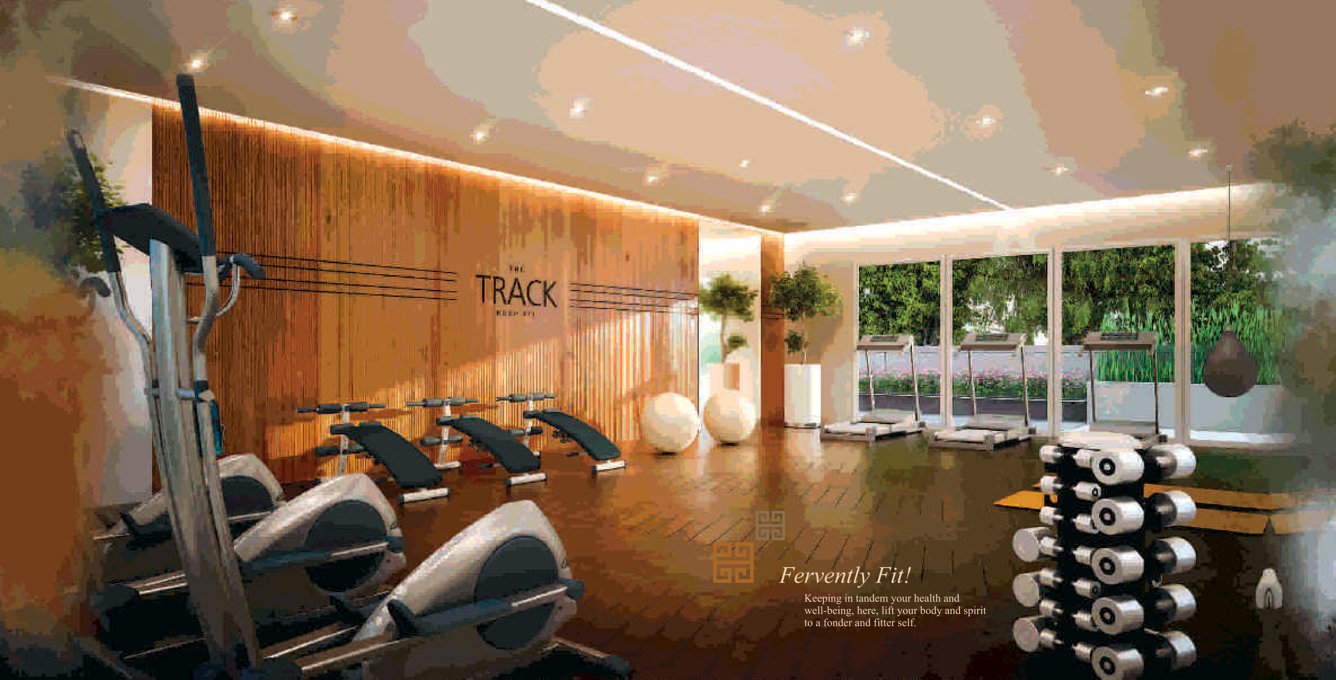 altis phase 1 Gymnasium