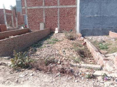  affordable-and-premium Elevation