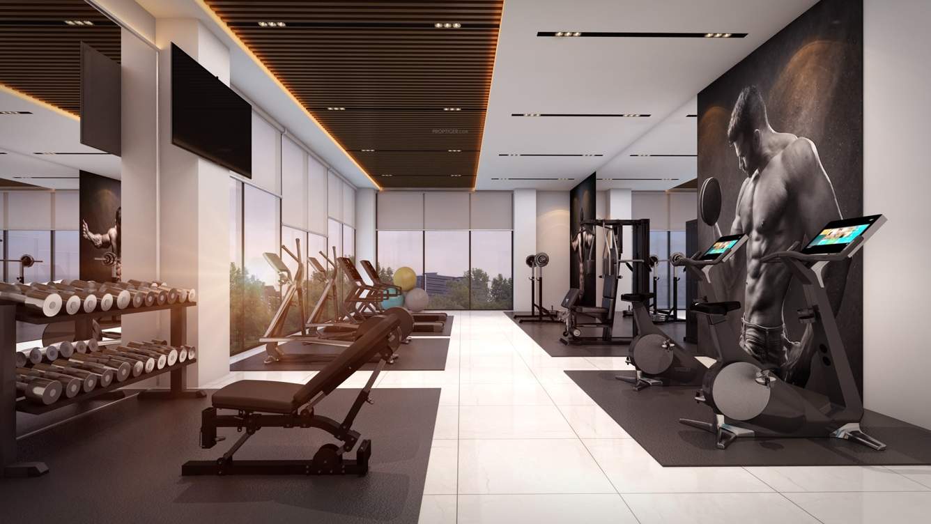  crimson crest Gymnasium