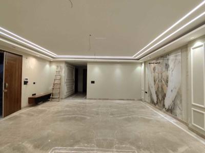  punjabi-bagh-luxury-homes Living Area