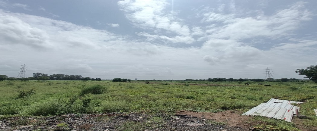 Elevation  green ville Elevation