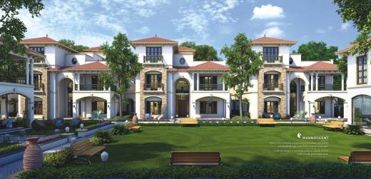 bungalow Elevation Elevation