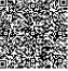 QR Image