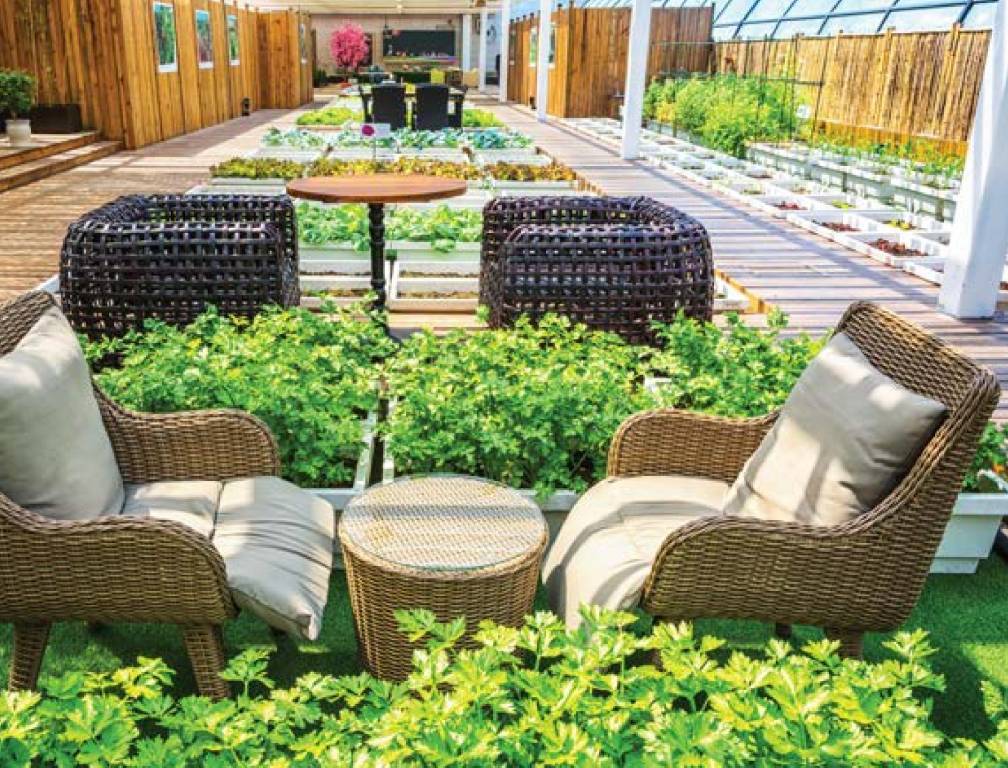  grand windsor Party Lawn