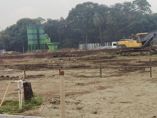 Prestige Pine Forest