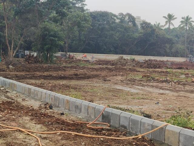 Prestige Pine Forest