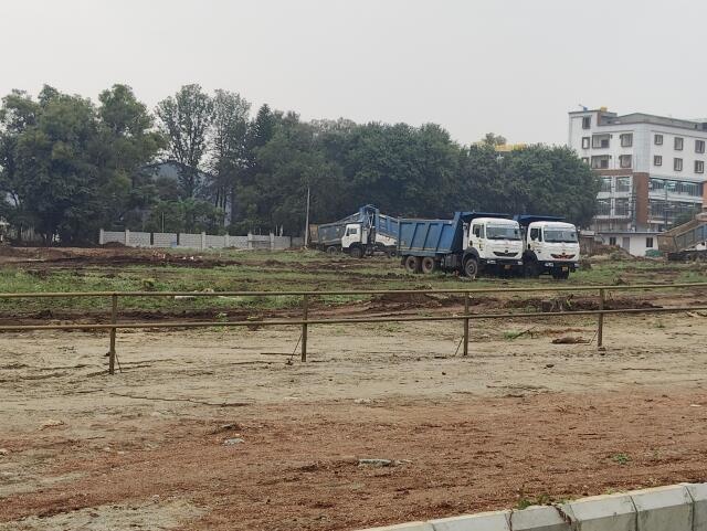 Prestige Pine Forest