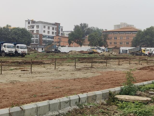 Prestige Pine Forest