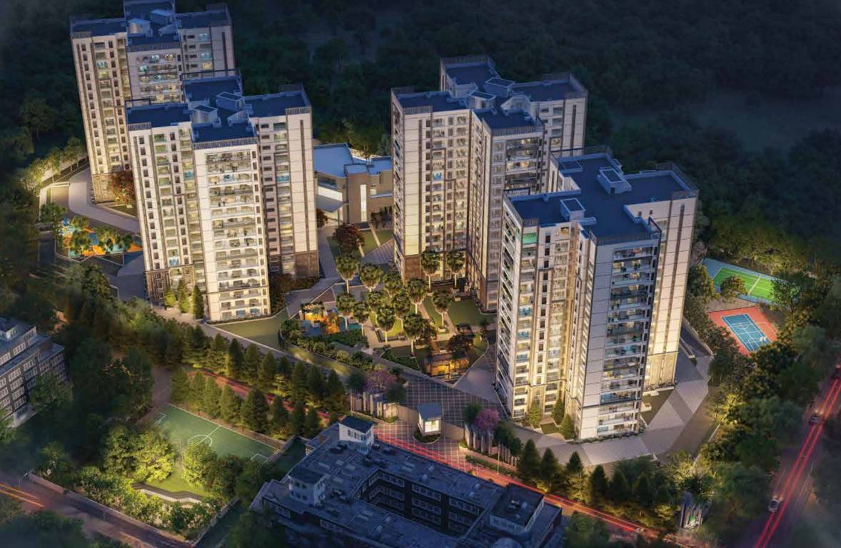  project pine forest Elevation