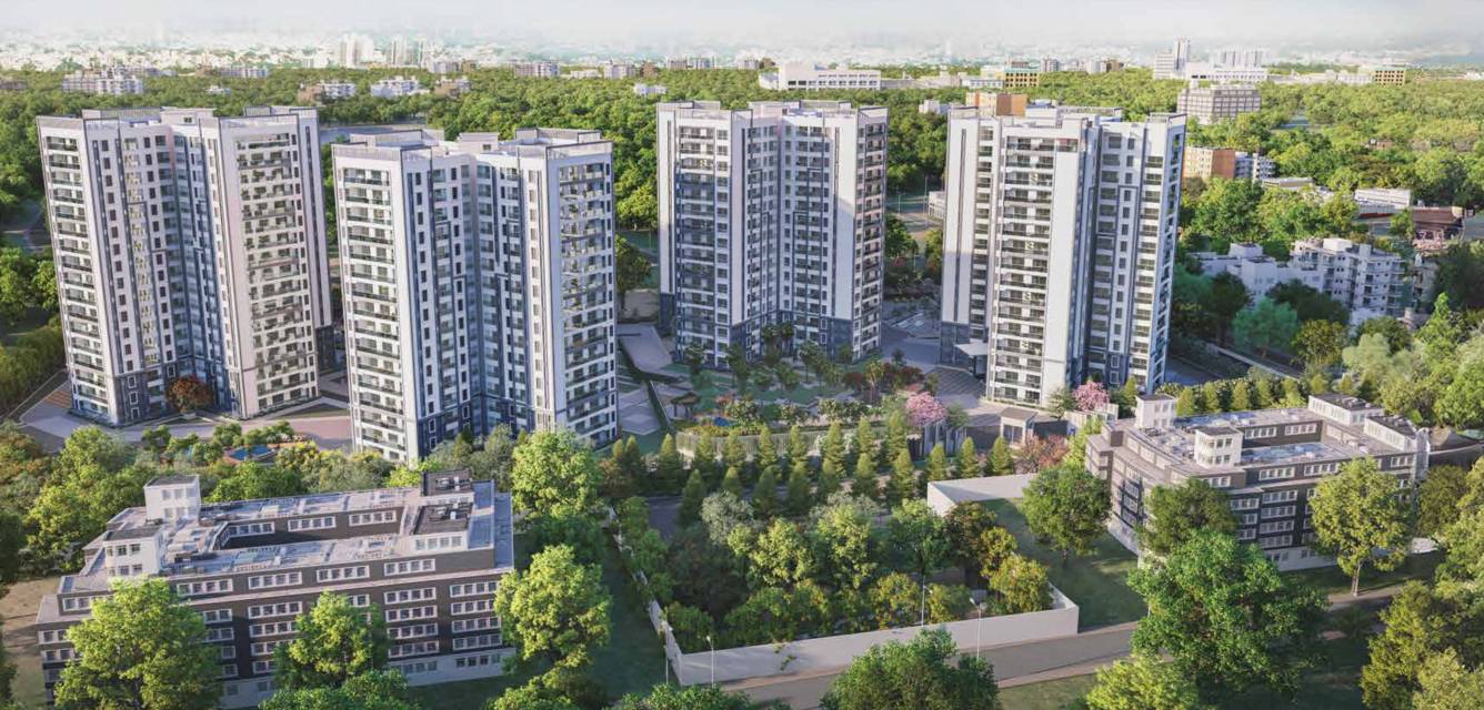  project pine forest Elevation