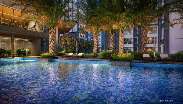  project-pine-forest Swimming Pool