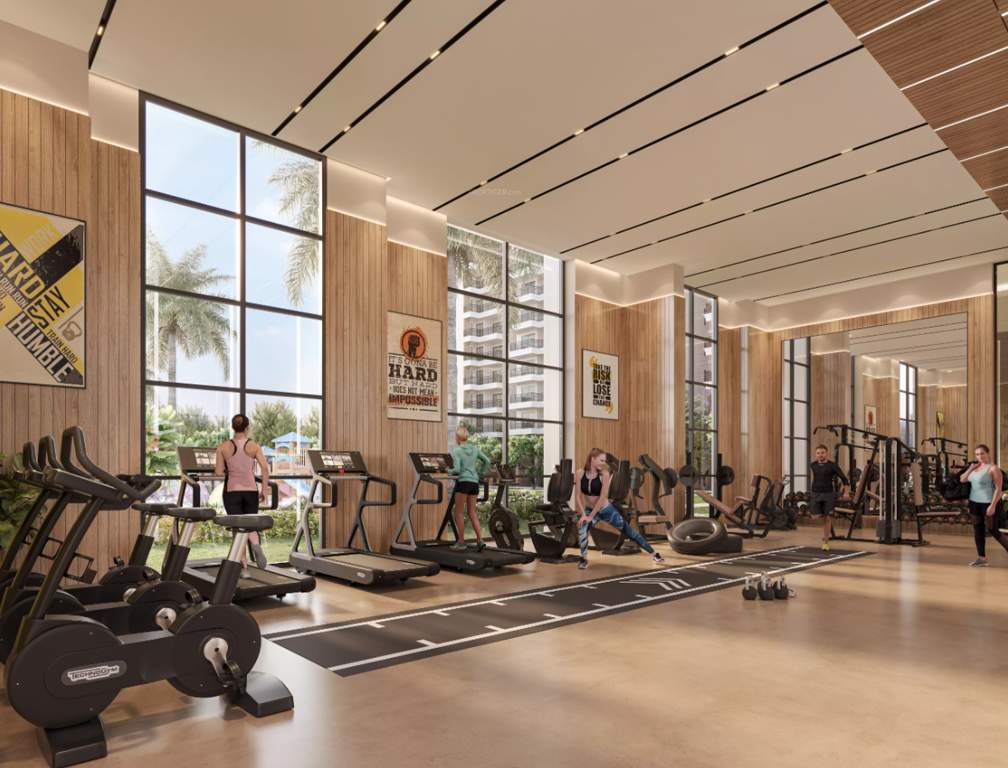  ska divine Gymnasium