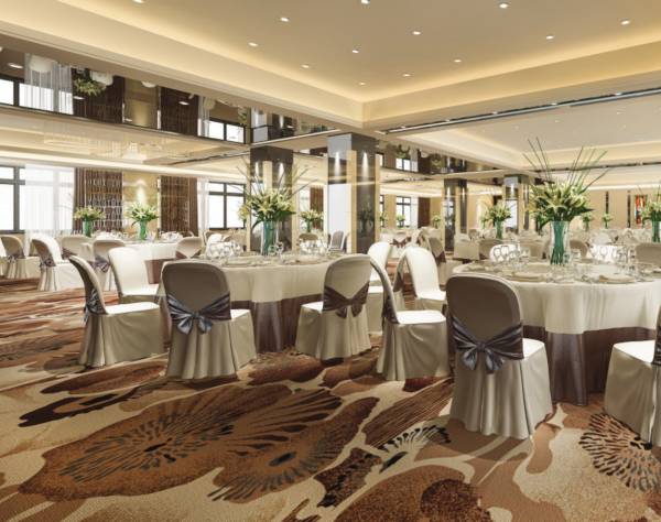 Others ace-hanei Others