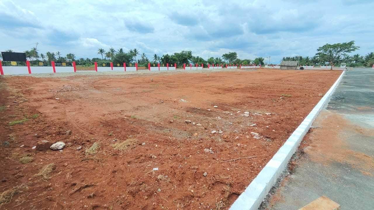  star avenue Plot