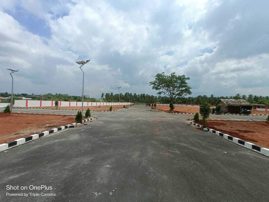 star avenue Plot