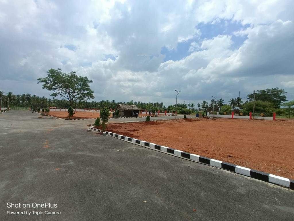  star avenue Plot