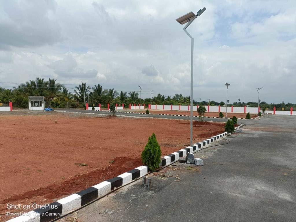  star avenue Plot