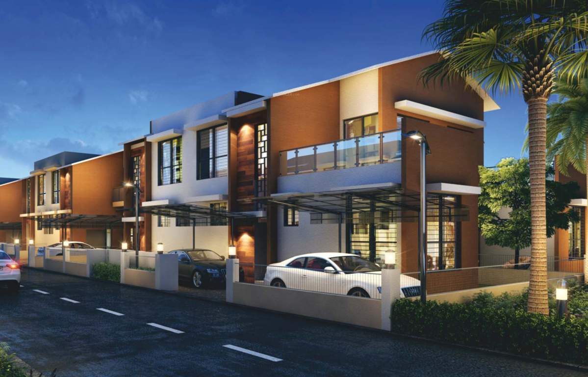  river of joy Elevation