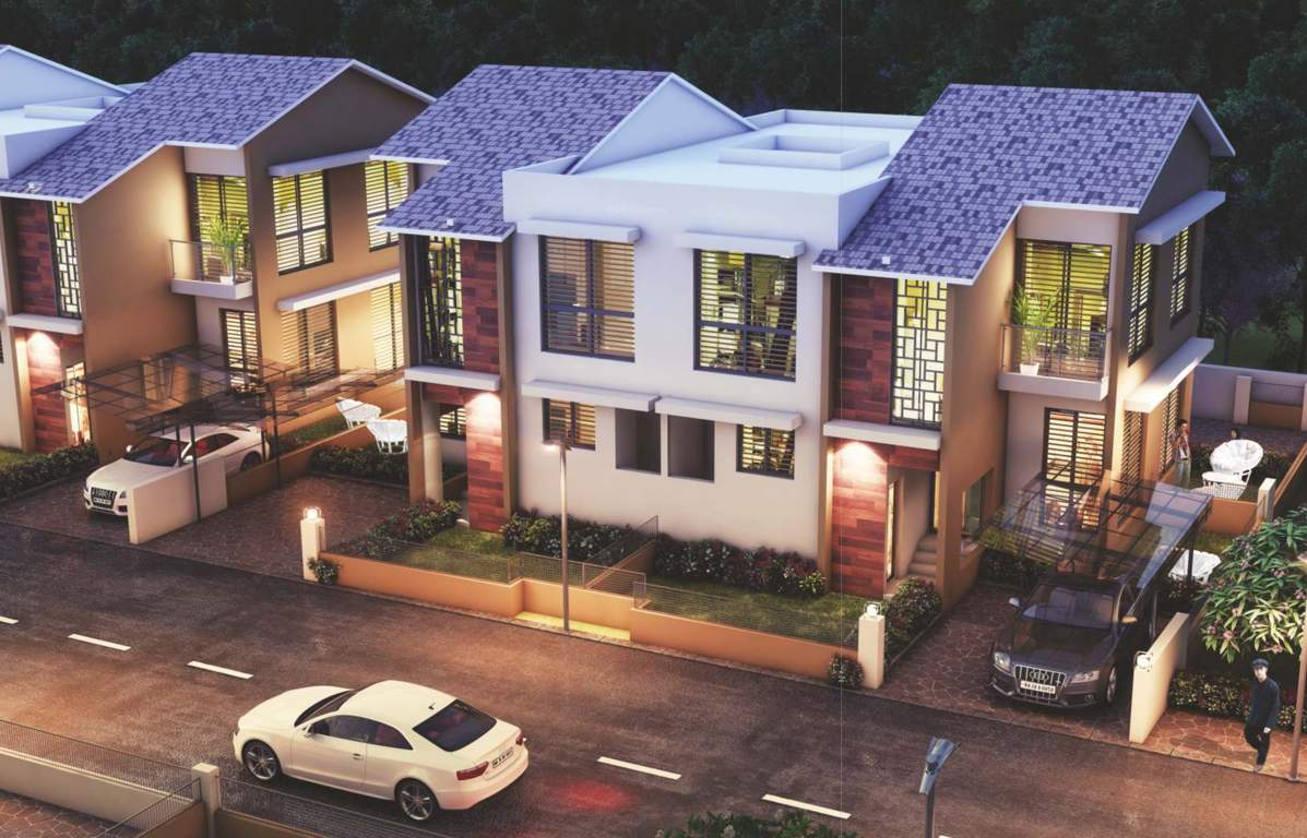  river of joy Elevation