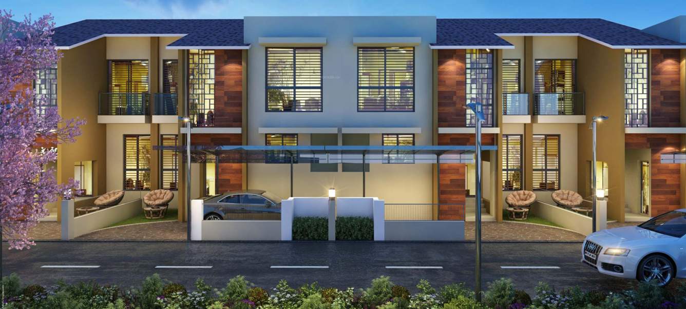  river of joy Elevation