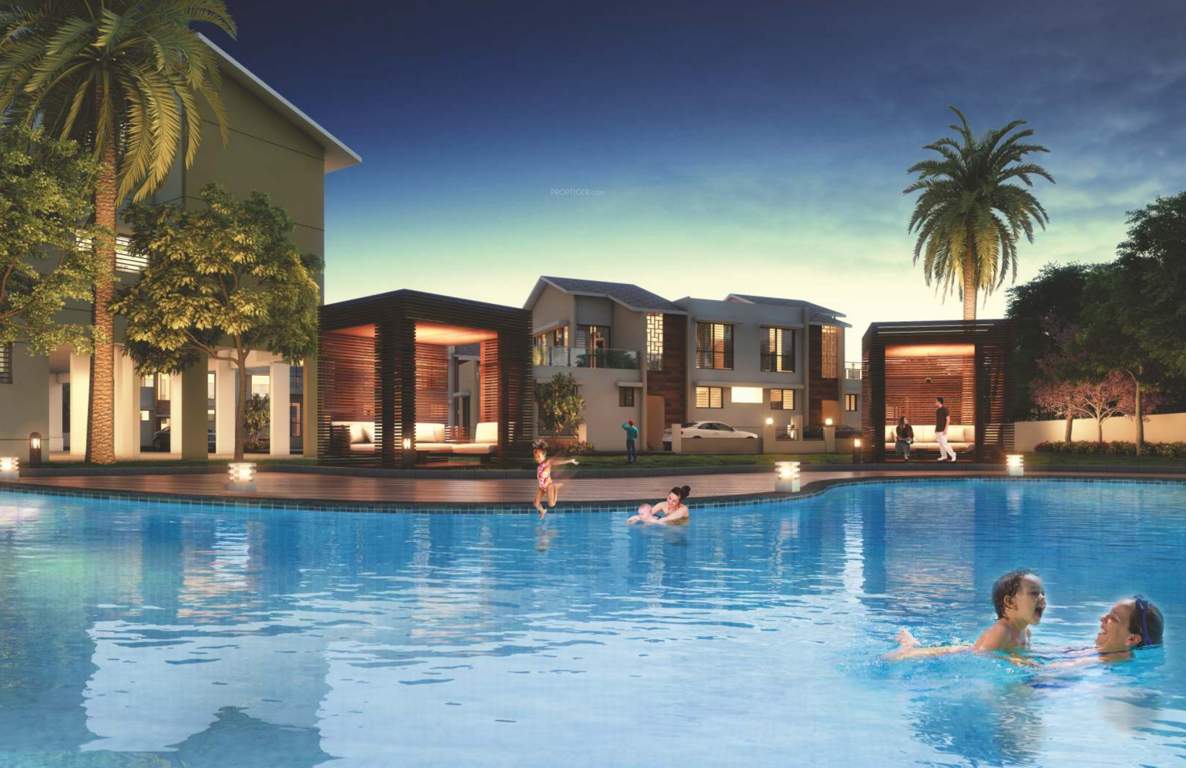  river of joy Swimming Pool