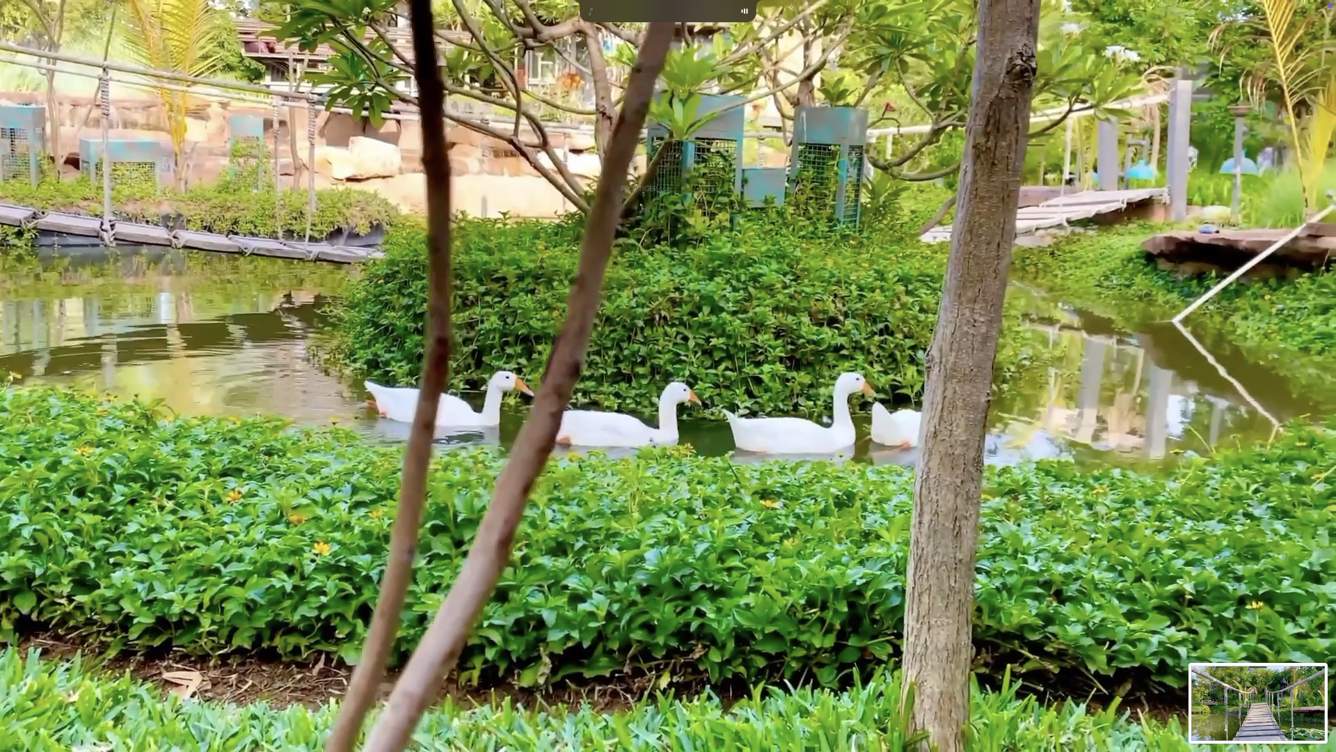  green vista farms Others