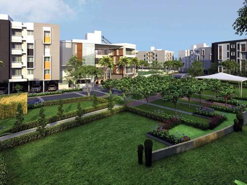  supremus Landscape Garden and Tree Planting