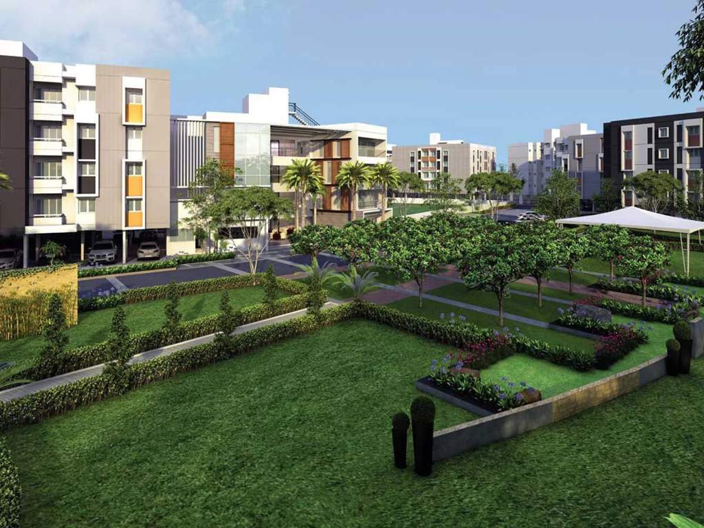  supremus Landscape Garden and Tree Planting