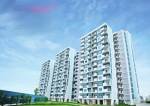  new-haven-bahadurgarh Elevation