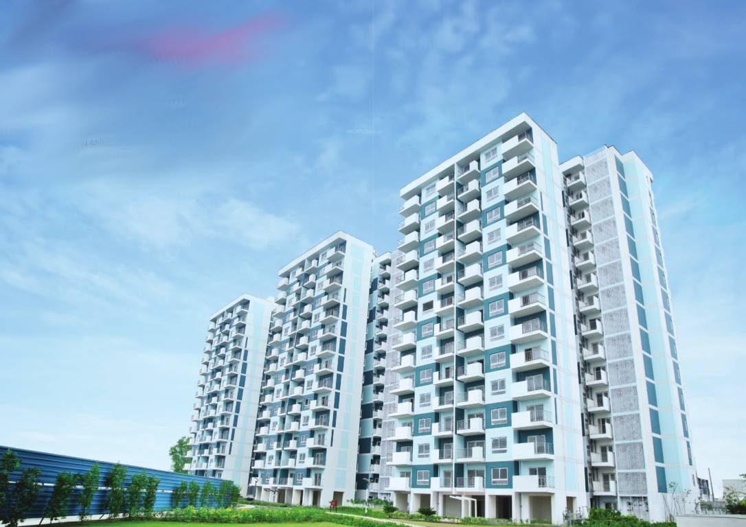 new haven bahadurgarh Elevation