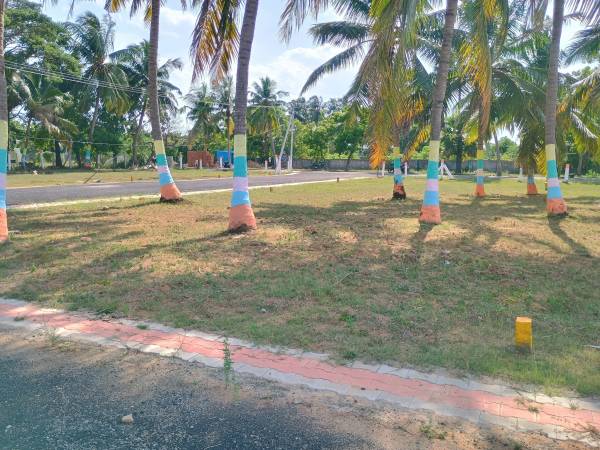 Elevation signature-city Elevation