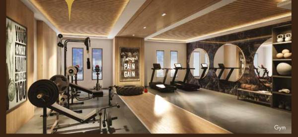 Gymnasium estella Gymnasium