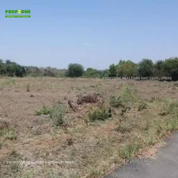 Elevation plots-in-pircone Elevation