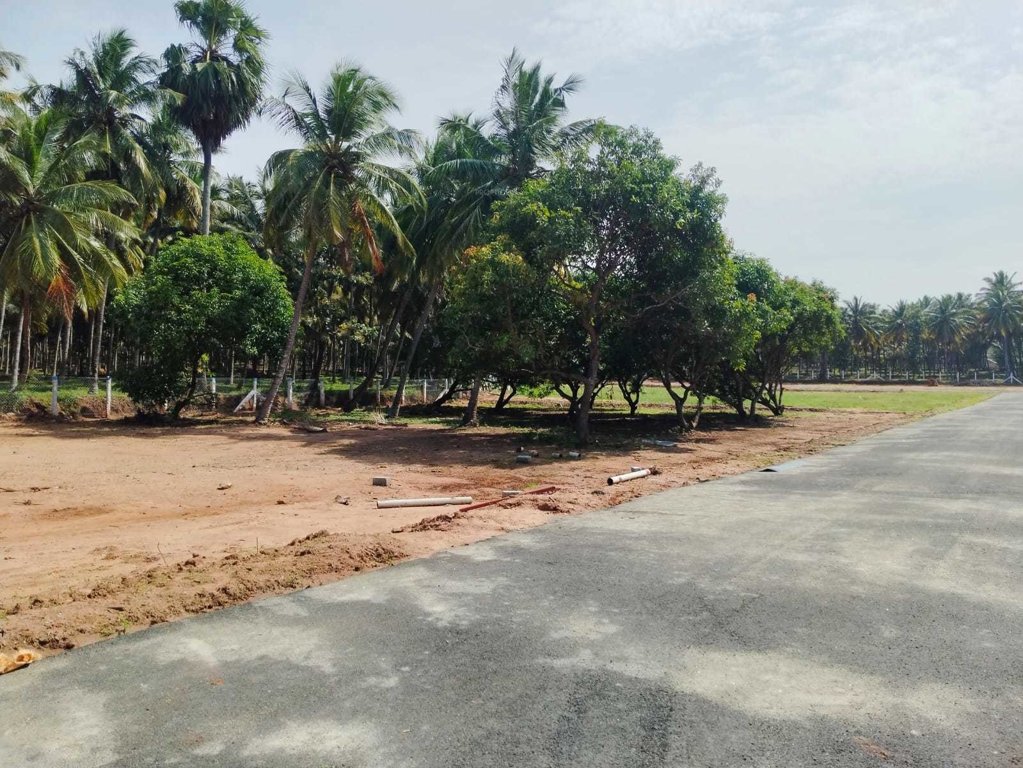  adithya ram farm city Elevation