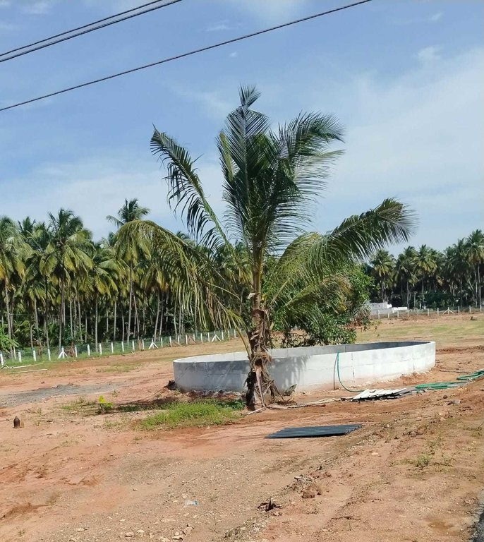  adithya ram farm city Elevation