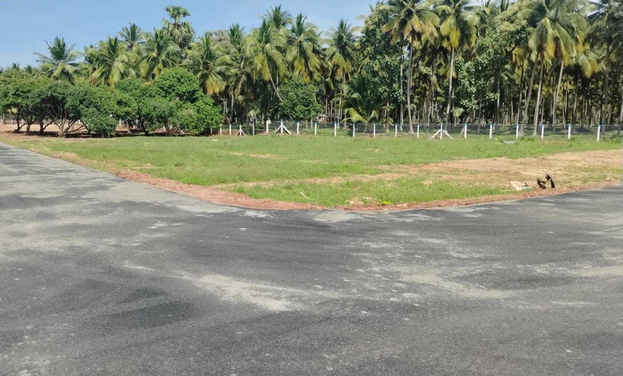  adithya ram farm city Elevation