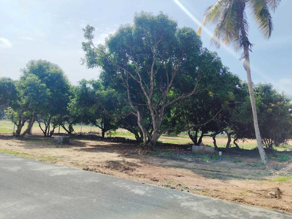  adithya ram farm city Elevation