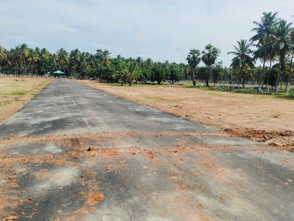  adithya ram farm city Elevation