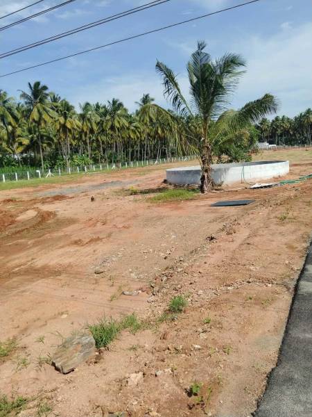 Elevation adithya-ram-farm-city Elevation