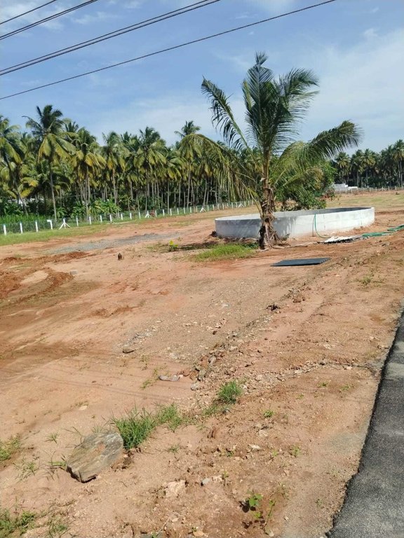  adithya ram farm city Elevation