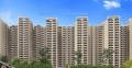 Dhoot Group Rising Homes at DXP 92