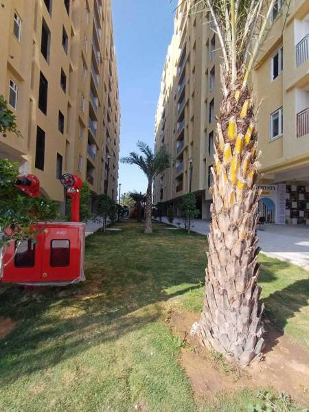  royal-crysta-i Others