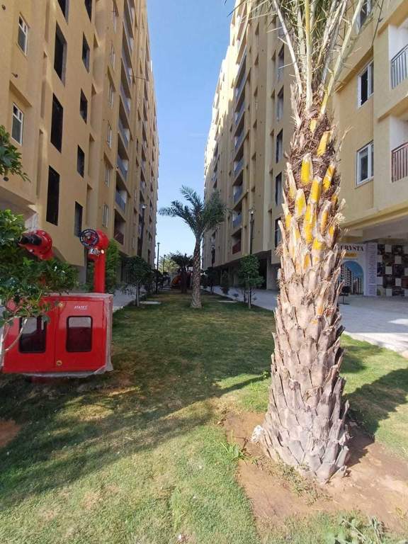  royal crysta i Others