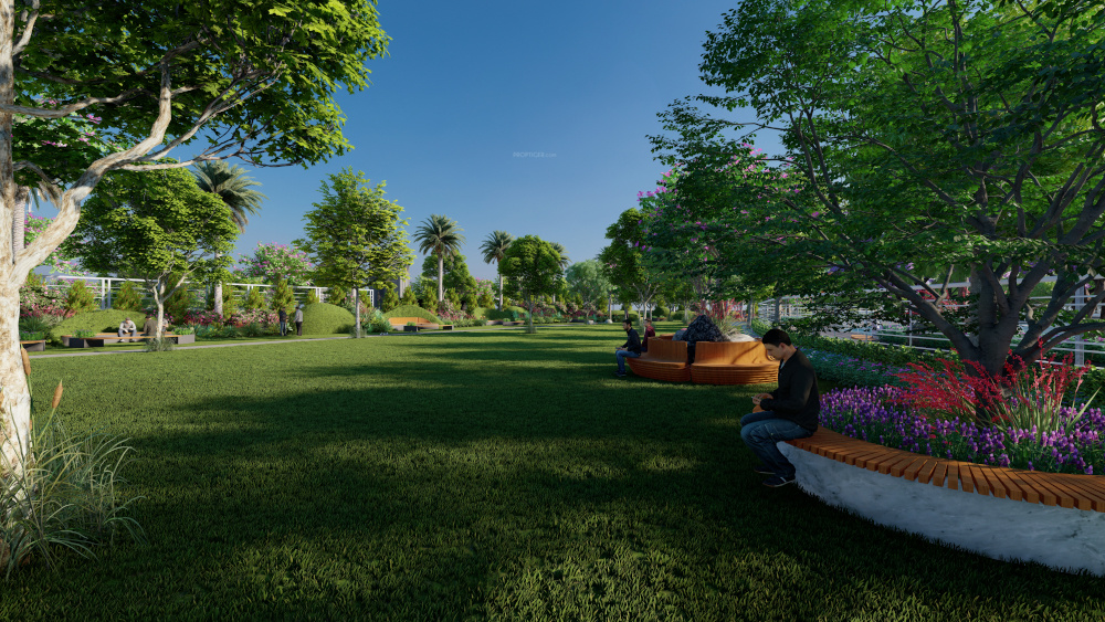  lakeshore oasis Others